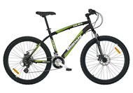 Duel 26 Disc